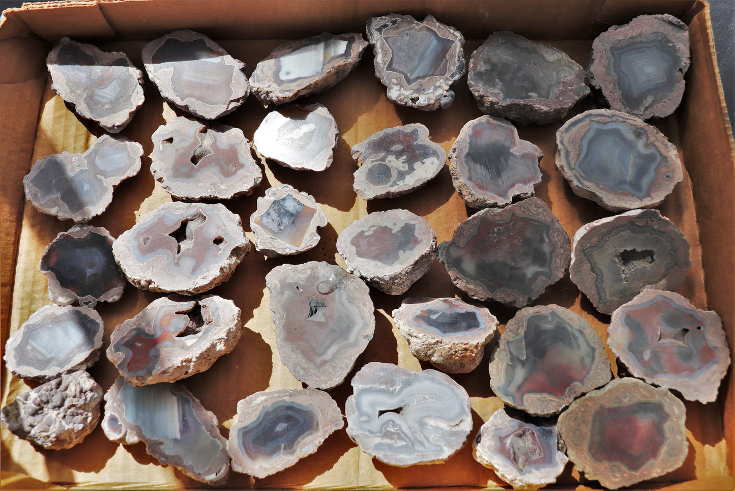 30 count flat of $15 Deming thunderegg halves
