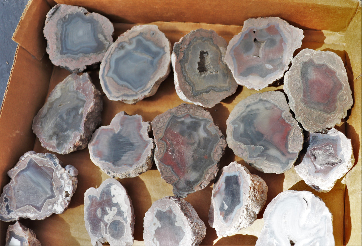 30 count flat of $15 Deming thunderegg halves
