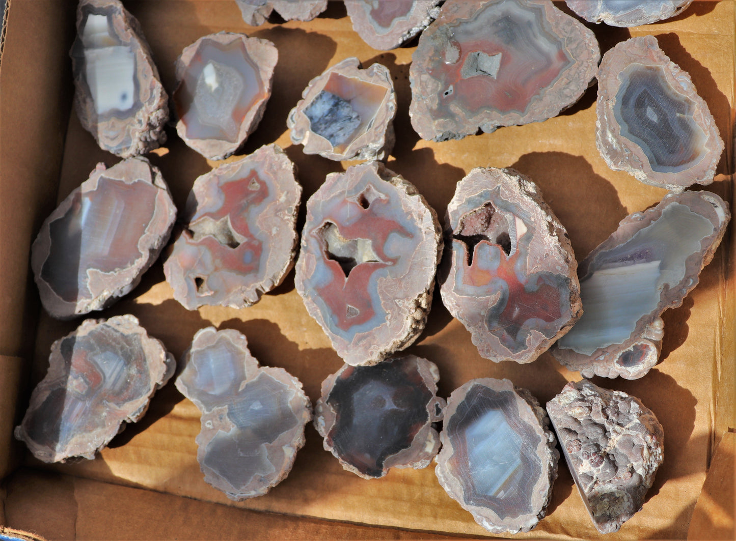 30 count flat of $15 Deming thunderegg halves