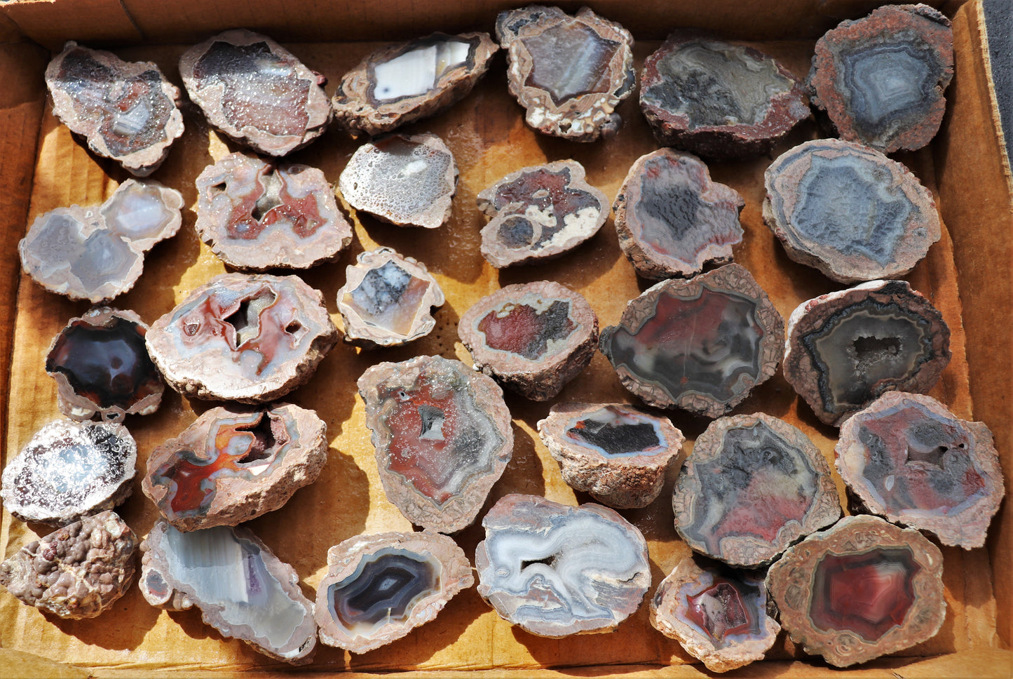 30 count flat of $15 Deming thunderegg halves
