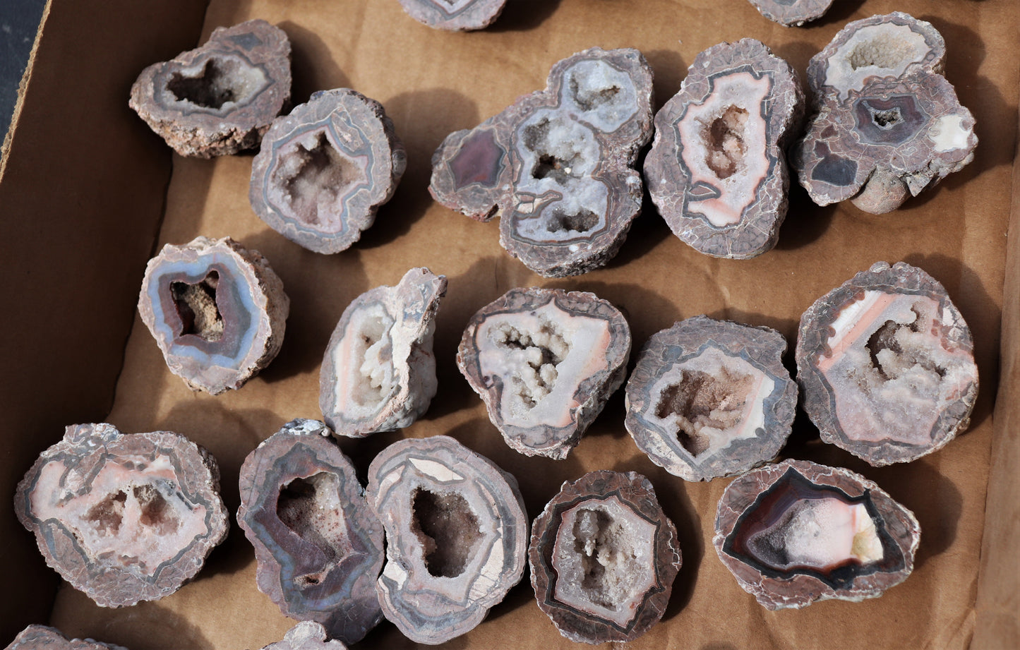 30 count flat of $15 Baker Ranch thunderegg halves