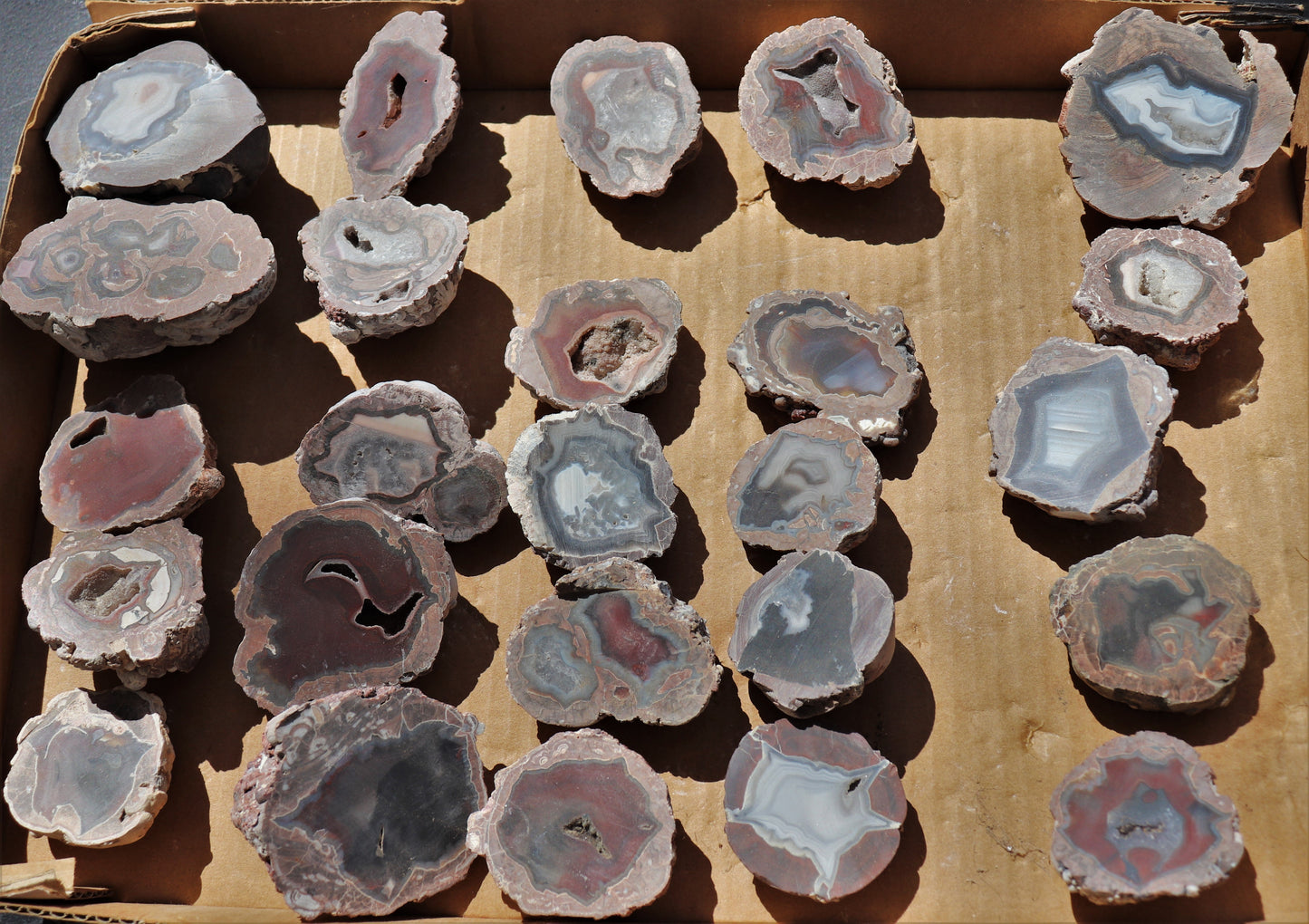 25 count flat of $15 Deming thunderegg halves