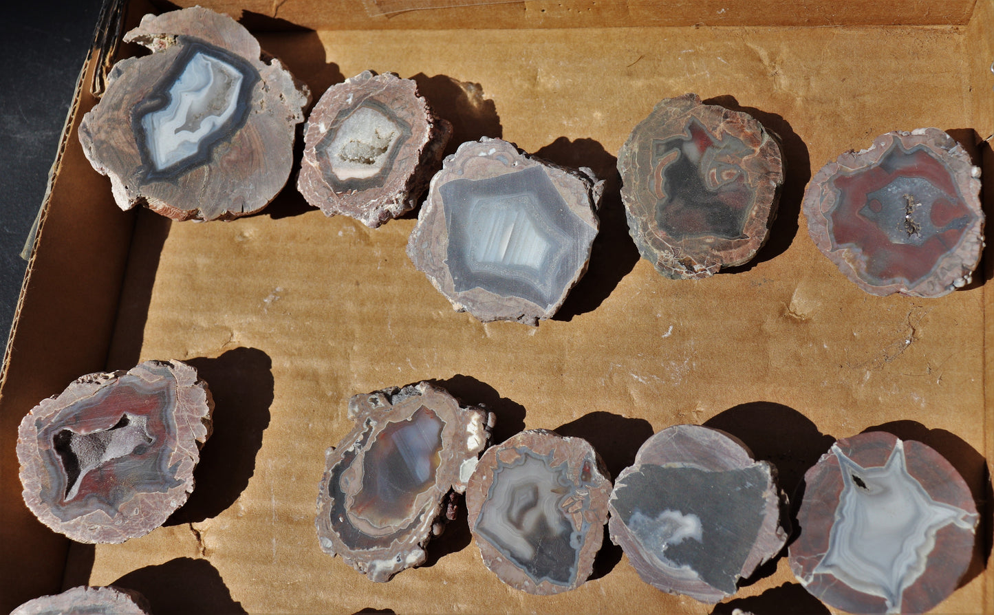 25 count flat of $15 Deming thunderegg halves