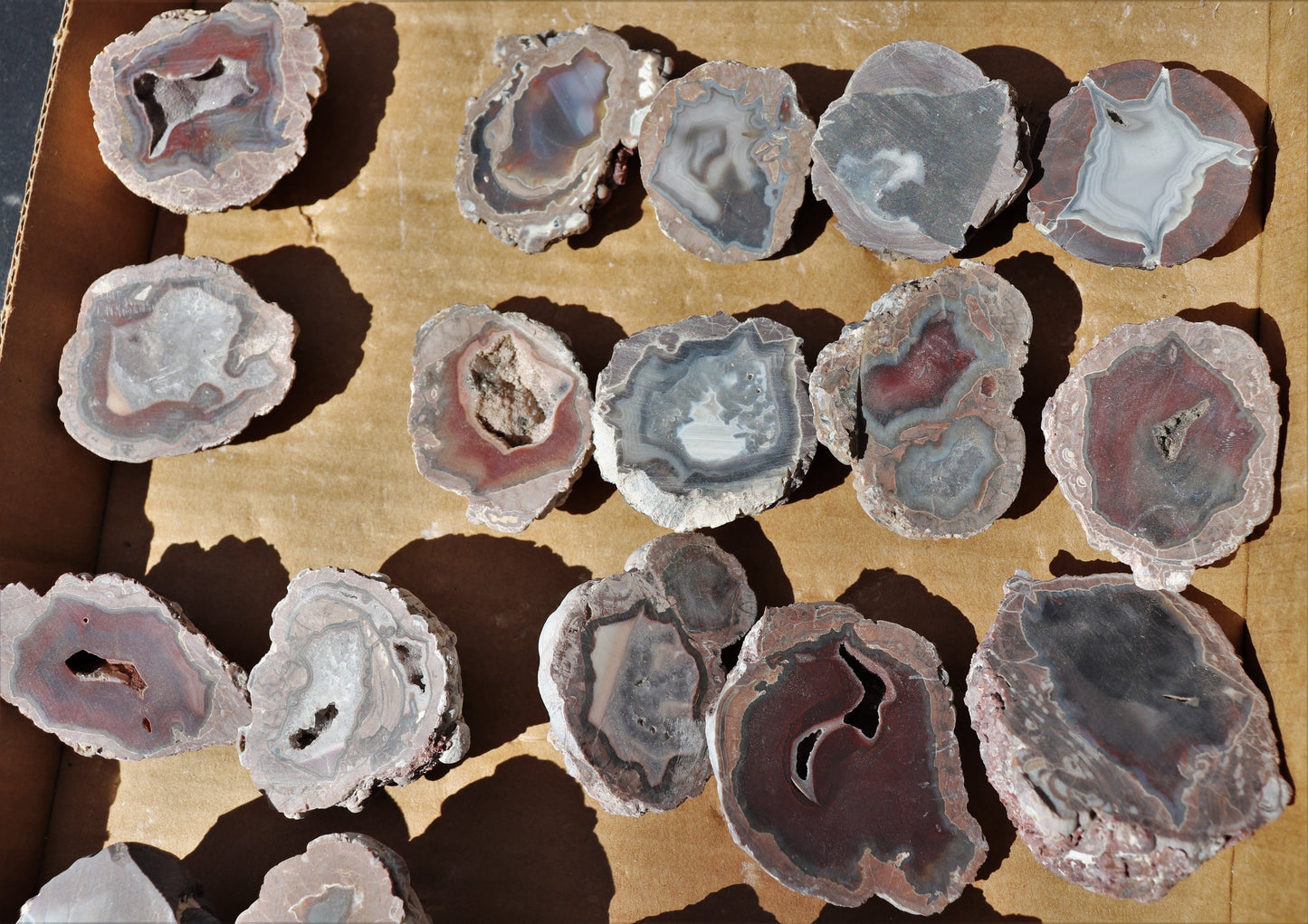 25 count flat of $15 Deming thunderegg halves
