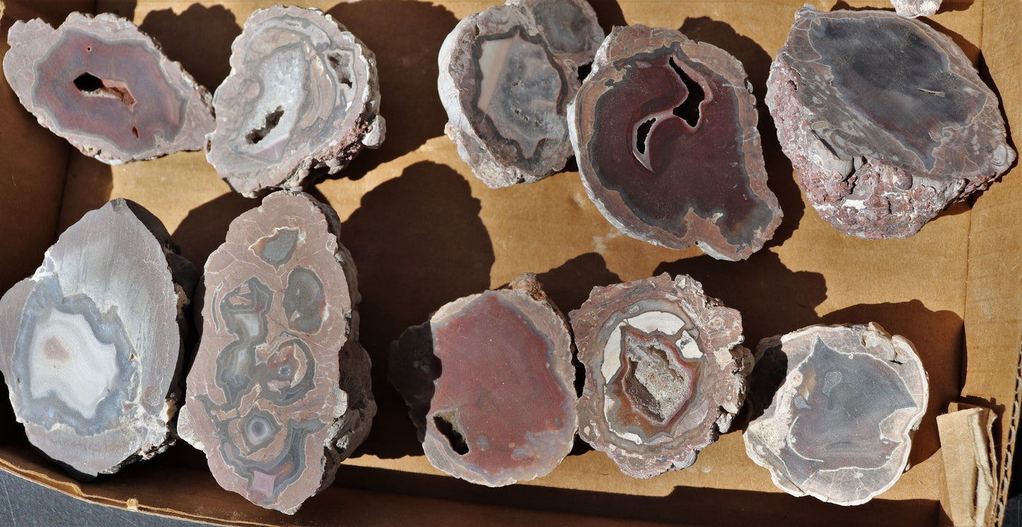 25 count flat of $15 Deming thunderegg halves