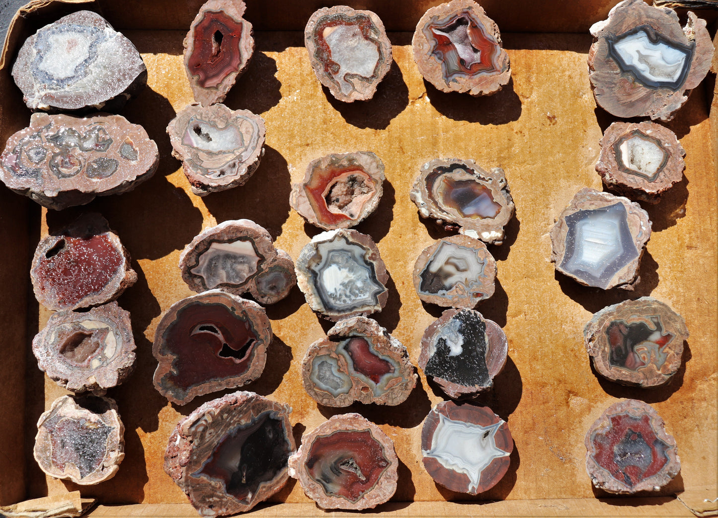 25 count flat of $15 Deming thunderegg halves