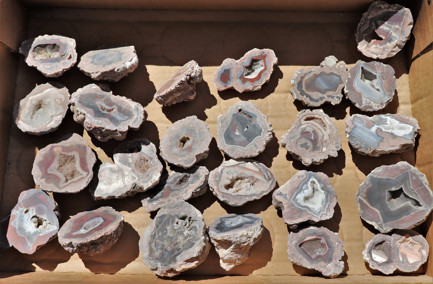 25 count flat of $15 Deming thunderegg halves