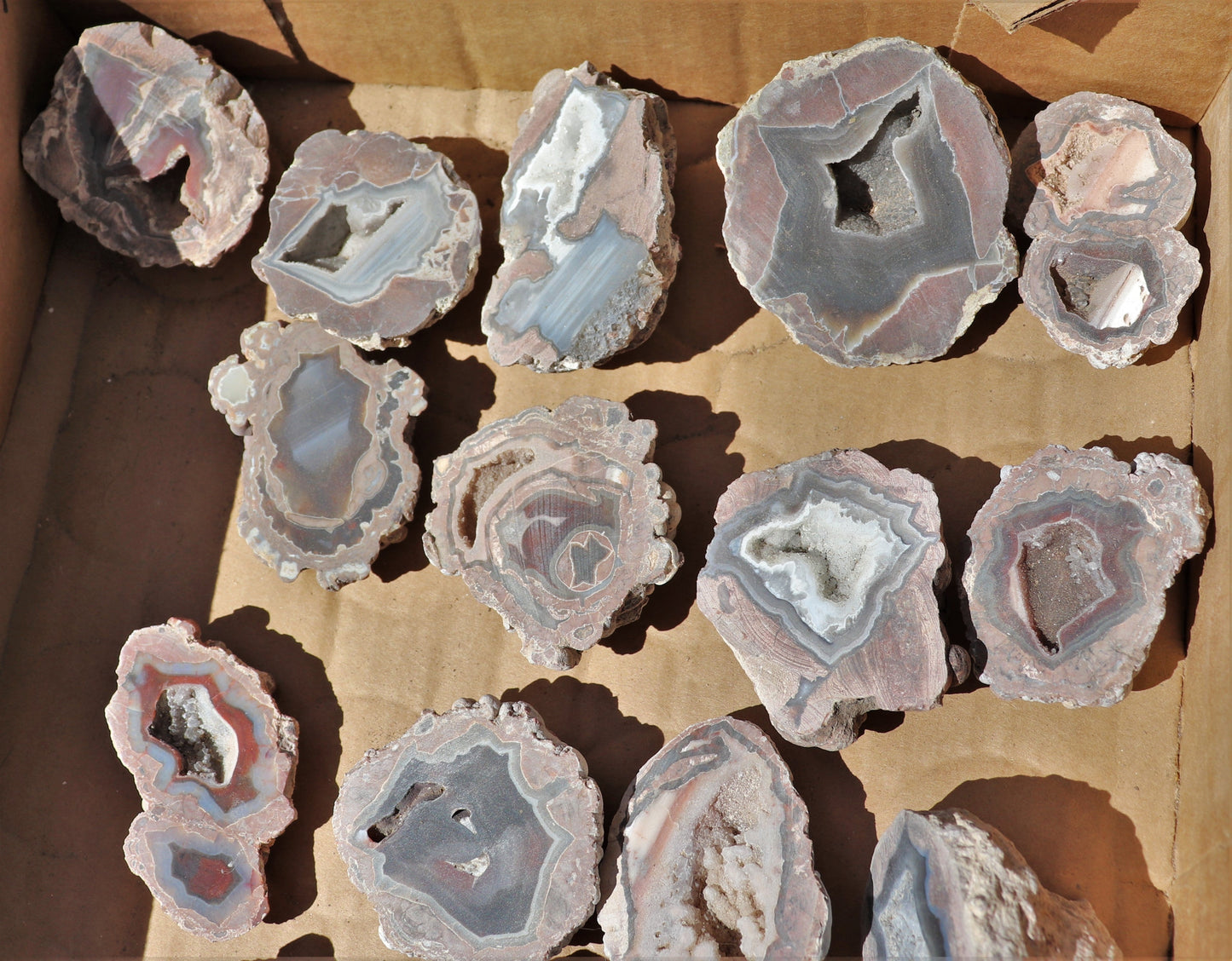 25 count flat of $15 Deming thunderegg halves