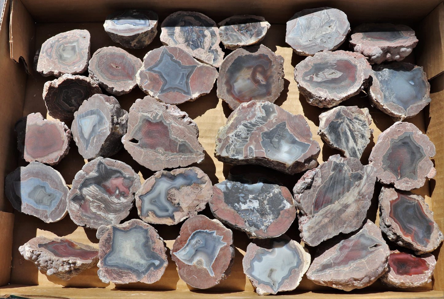 30 count flat of $15 Deming thunderegg halves
