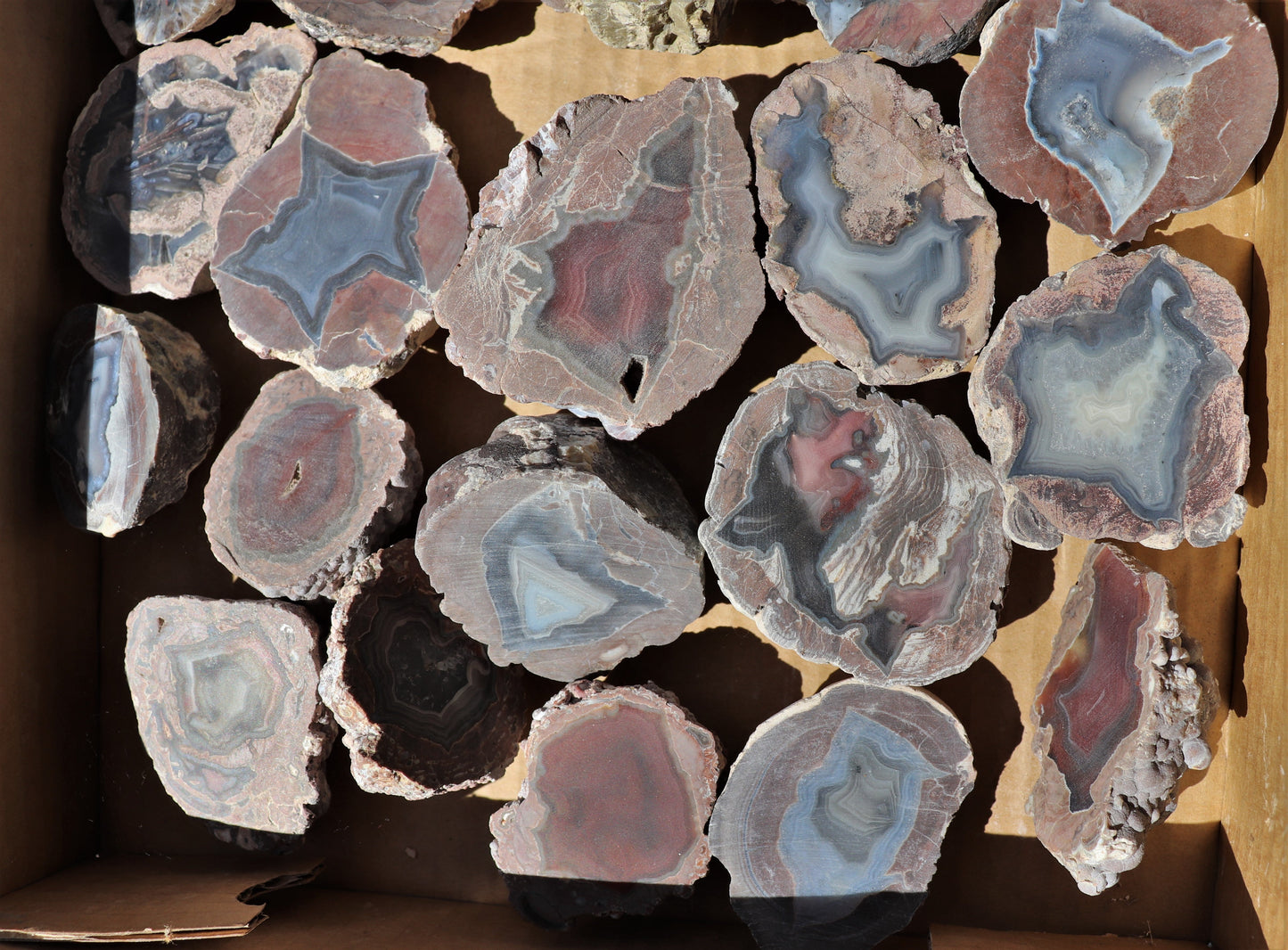 30 count flat of $15 Deming thunderegg halves