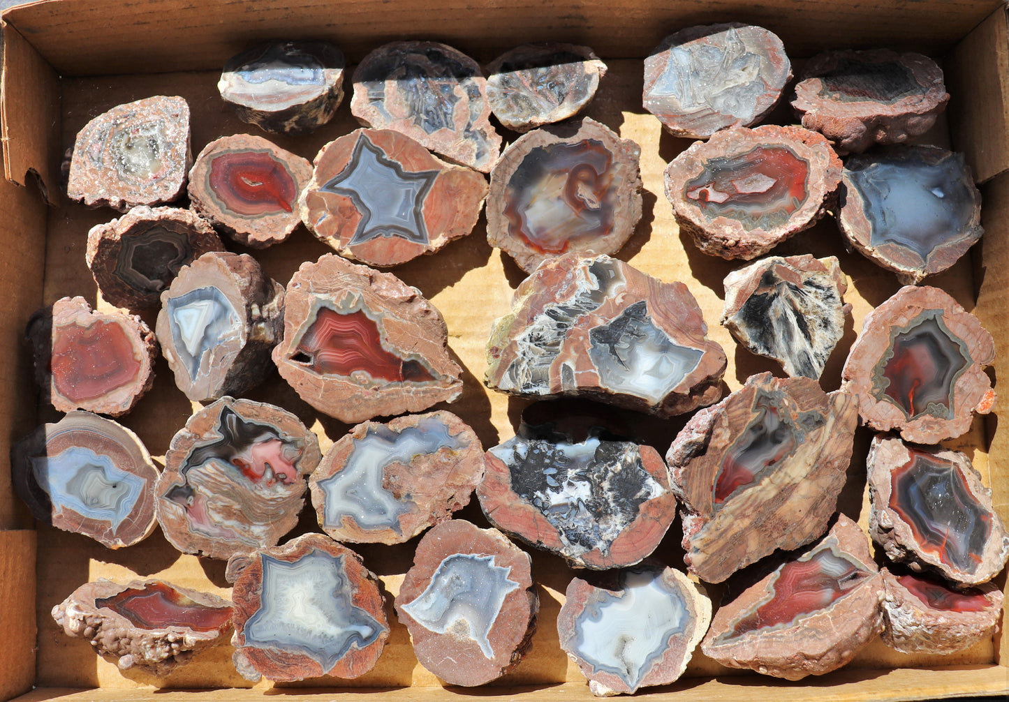 30 count flat of $15 Deming thunderegg halves