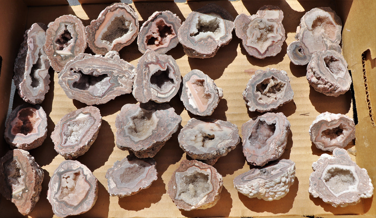 24 count flat of $20 Baker Ranch thunderegg halves