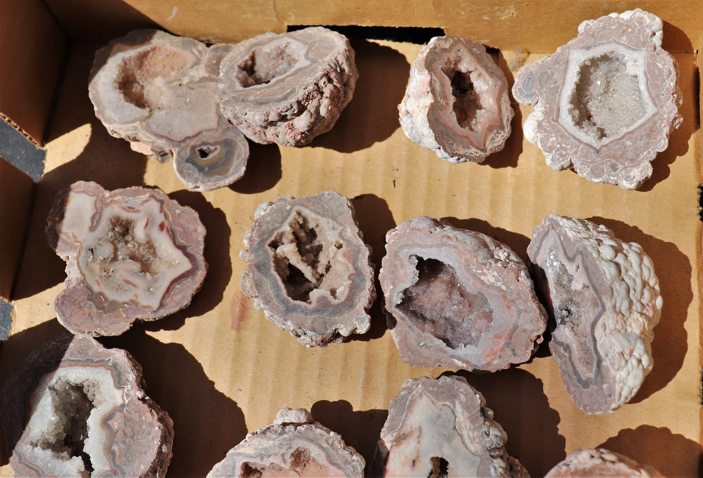24 count flat of $20 Baker Ranch thunderegg halves