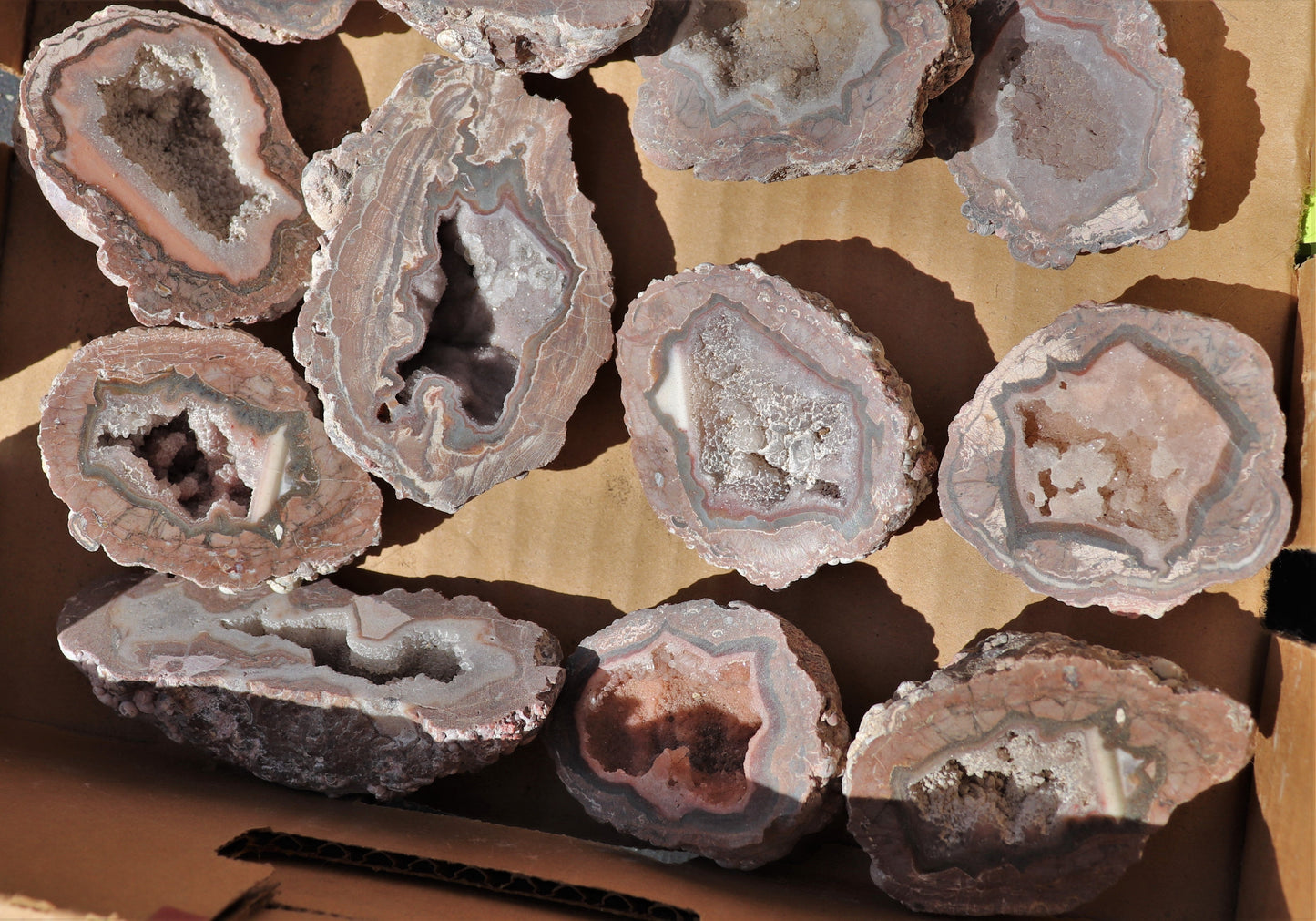 24 count flat of $20 Baker Ranch thunderegg halves
