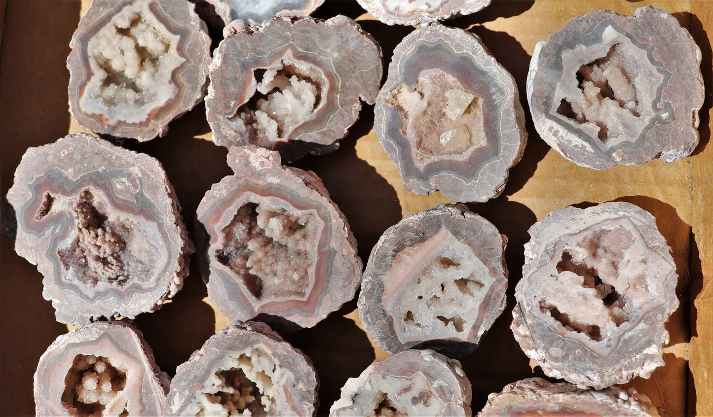 24 count flat of $20 Baker Ranch thunderegg halves