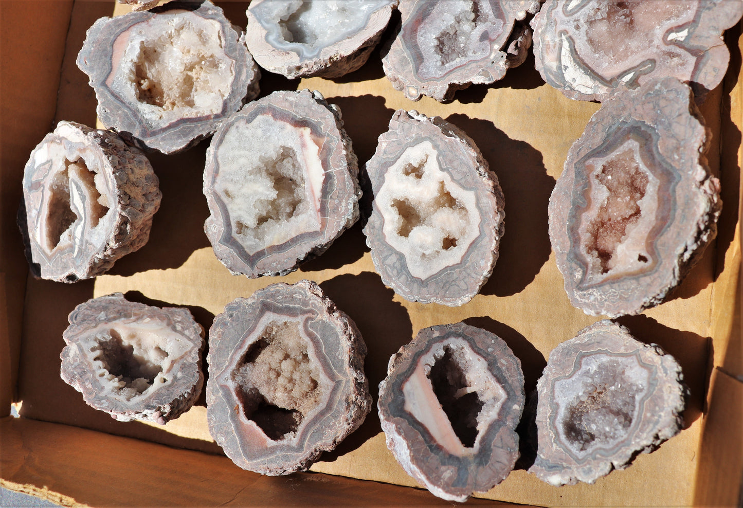 24 count flat of $20 Baker Ranch thunderegg halves