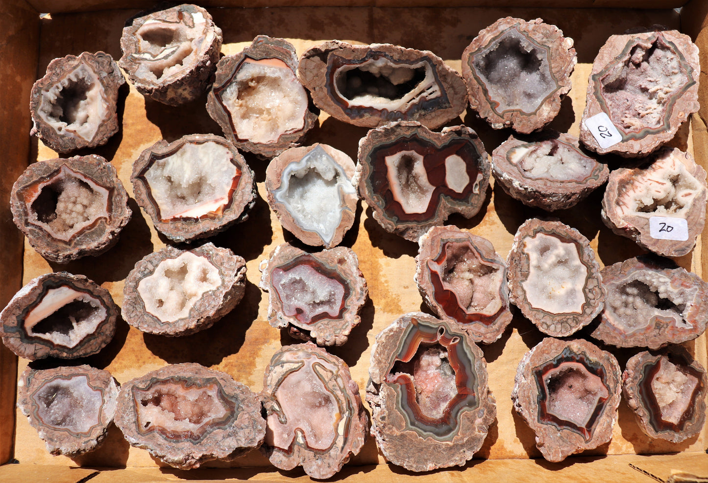 24 count flat of $20 Baker Ranch thunderegg halves
