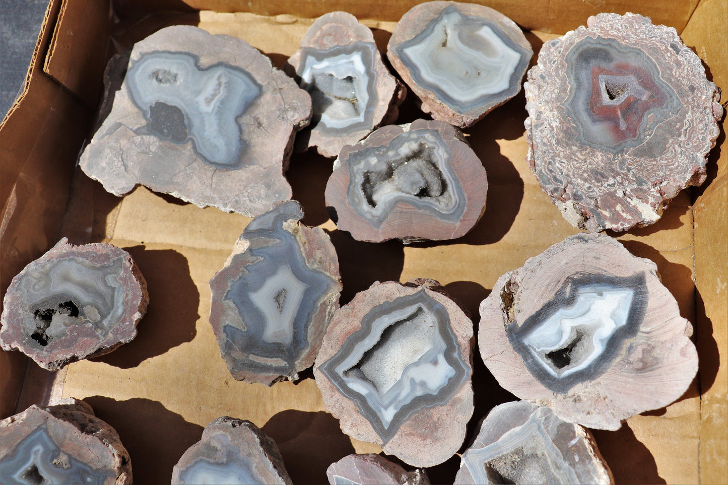 20 count flat of $20 Deming thunderegg halves