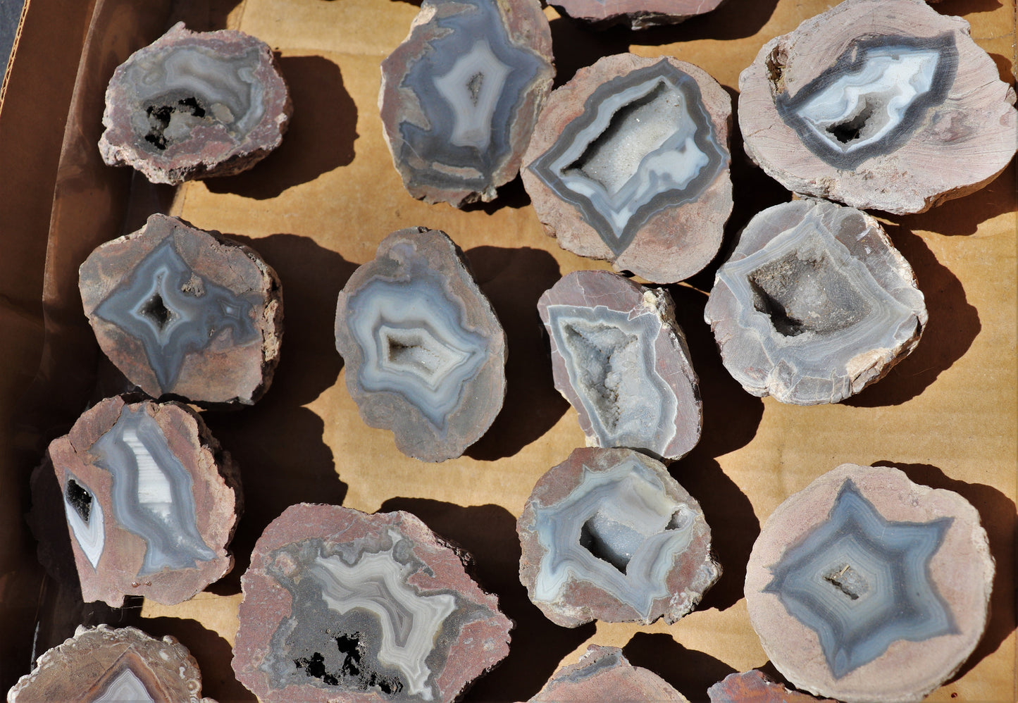 20 count flat of $20 Deming thunderegg halves