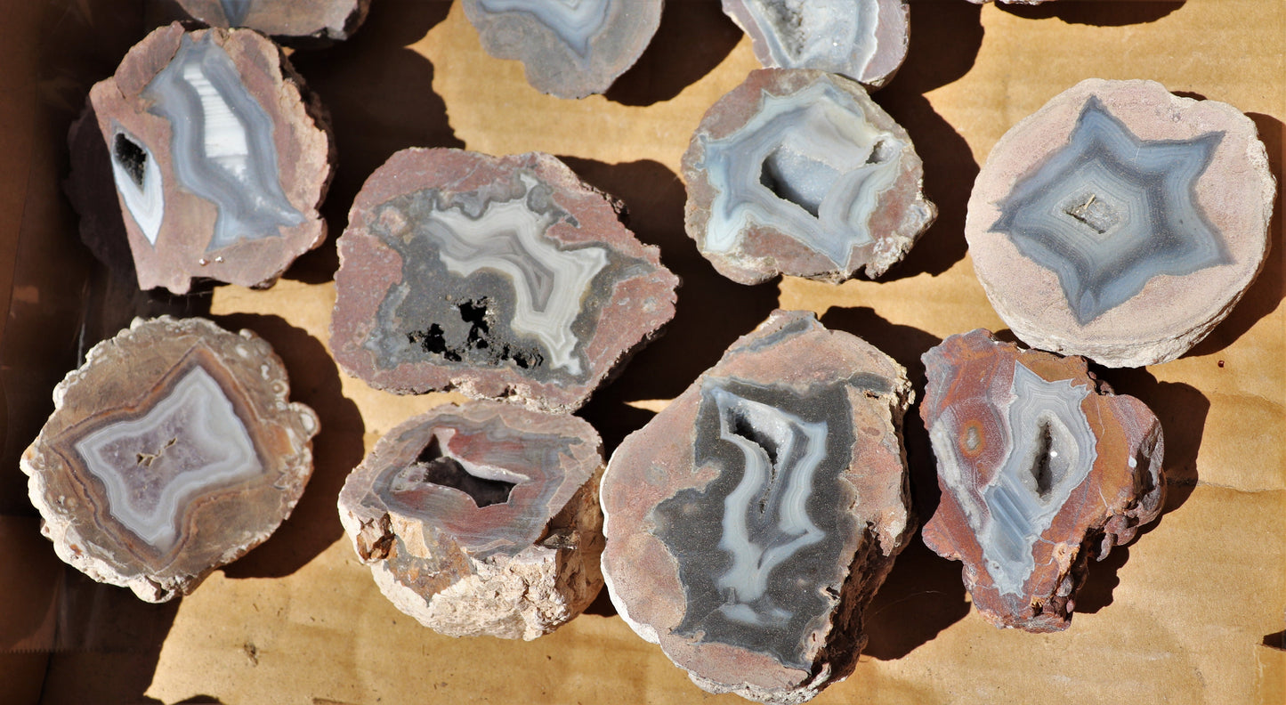 20 count flat of $20 Deming thunderegg halves