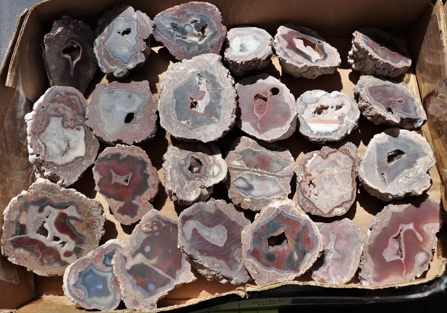 24 count flat of $20 Deming thunderegg halves