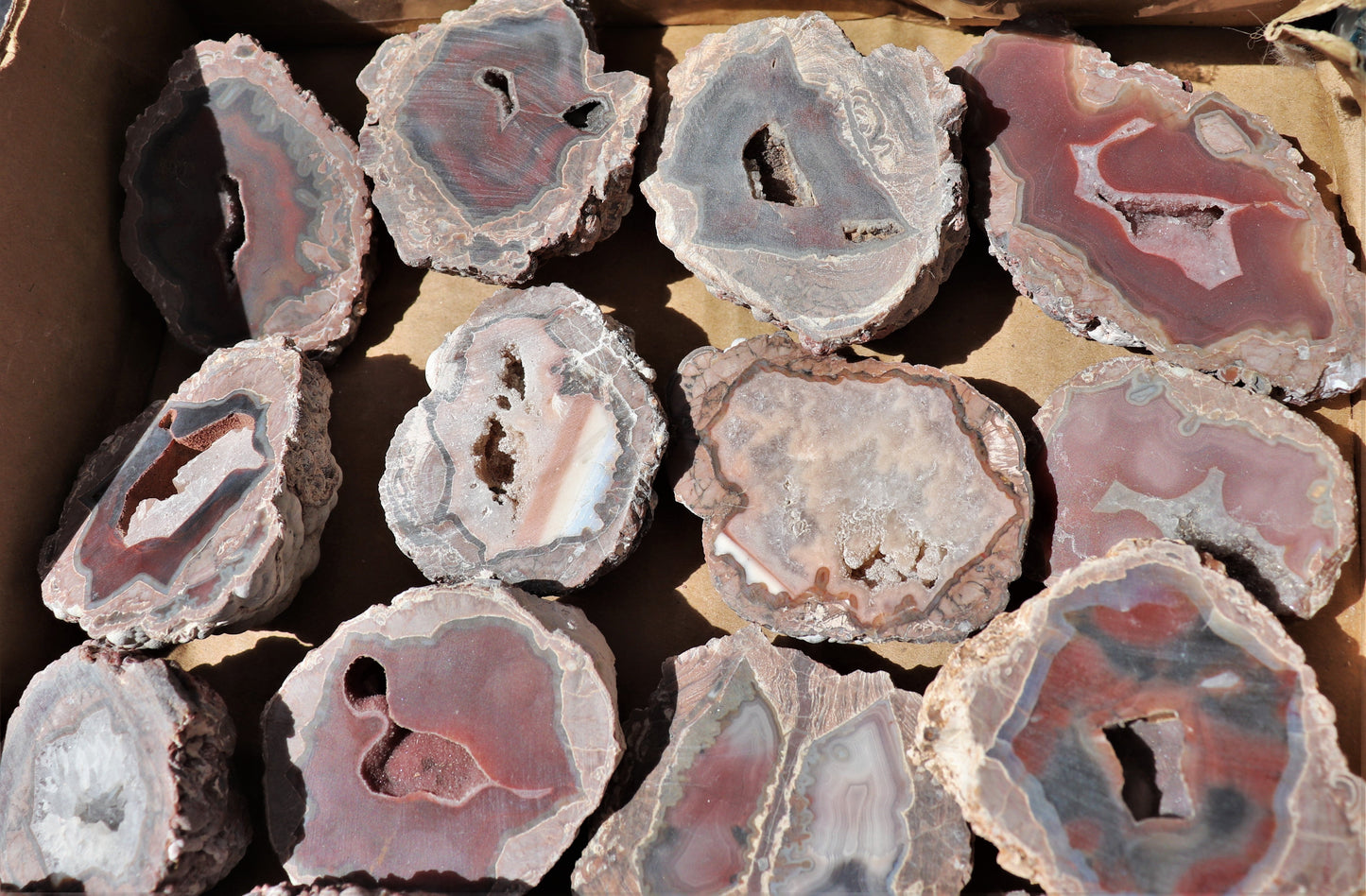 24 count flat of $20 Deming thunderegg halves