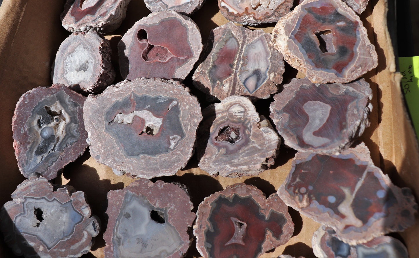 24 count flat of $20 Deming thunderegg halves