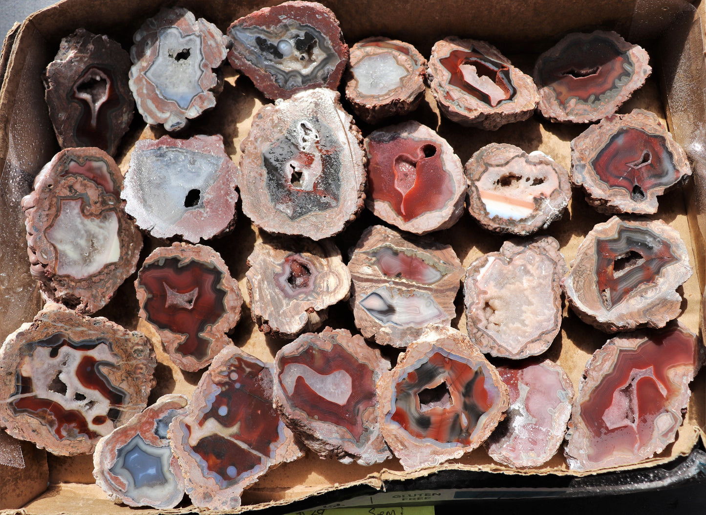 24 count flat of $20 Deming thunderegg halves