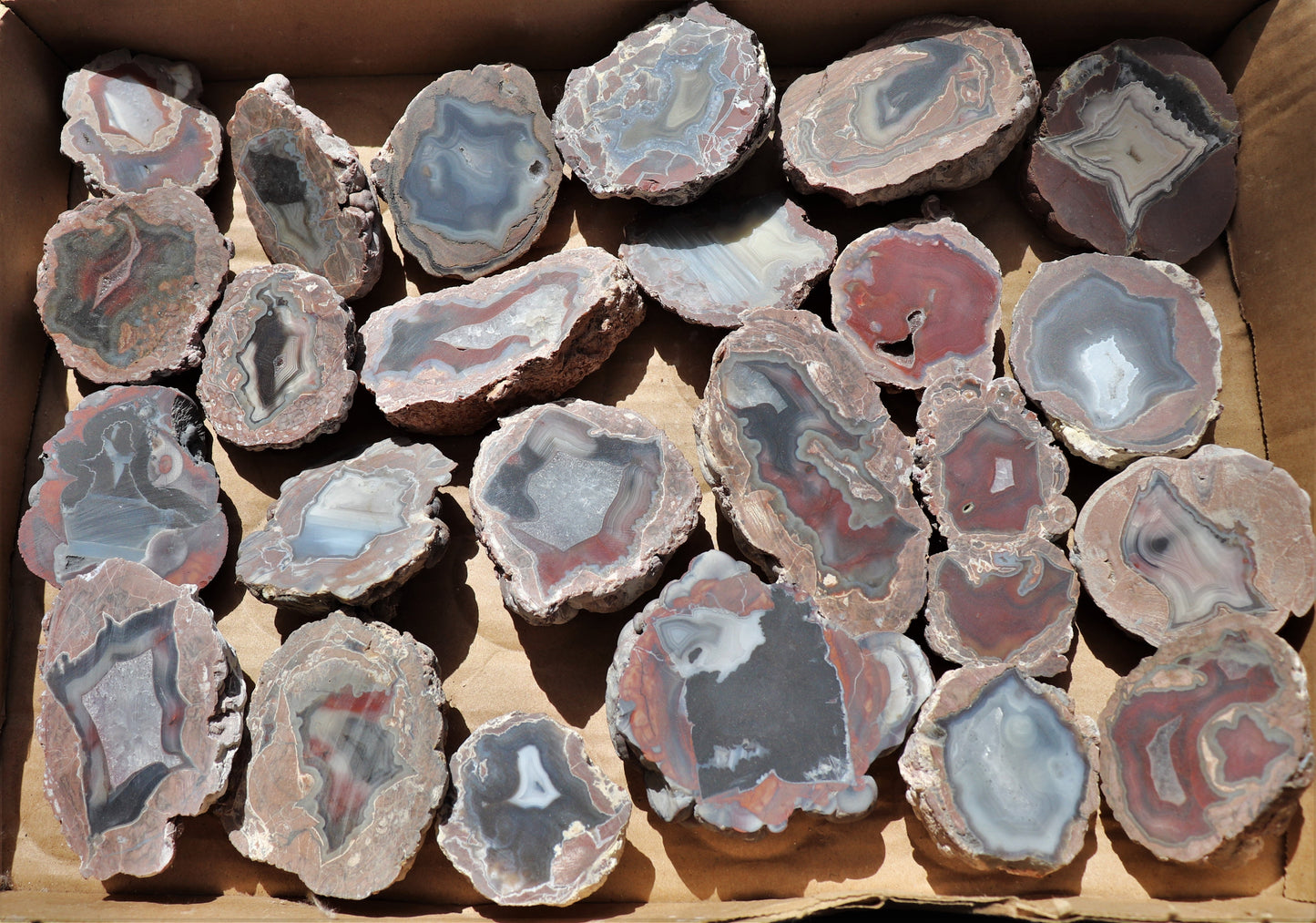 24 count flat of $20 Deming thunderegg halves