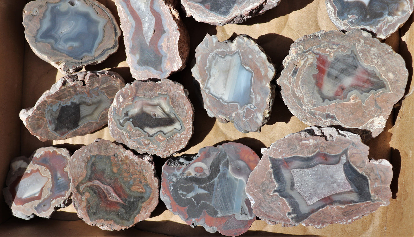 24 count flat of $20 Deming thunderegg halves