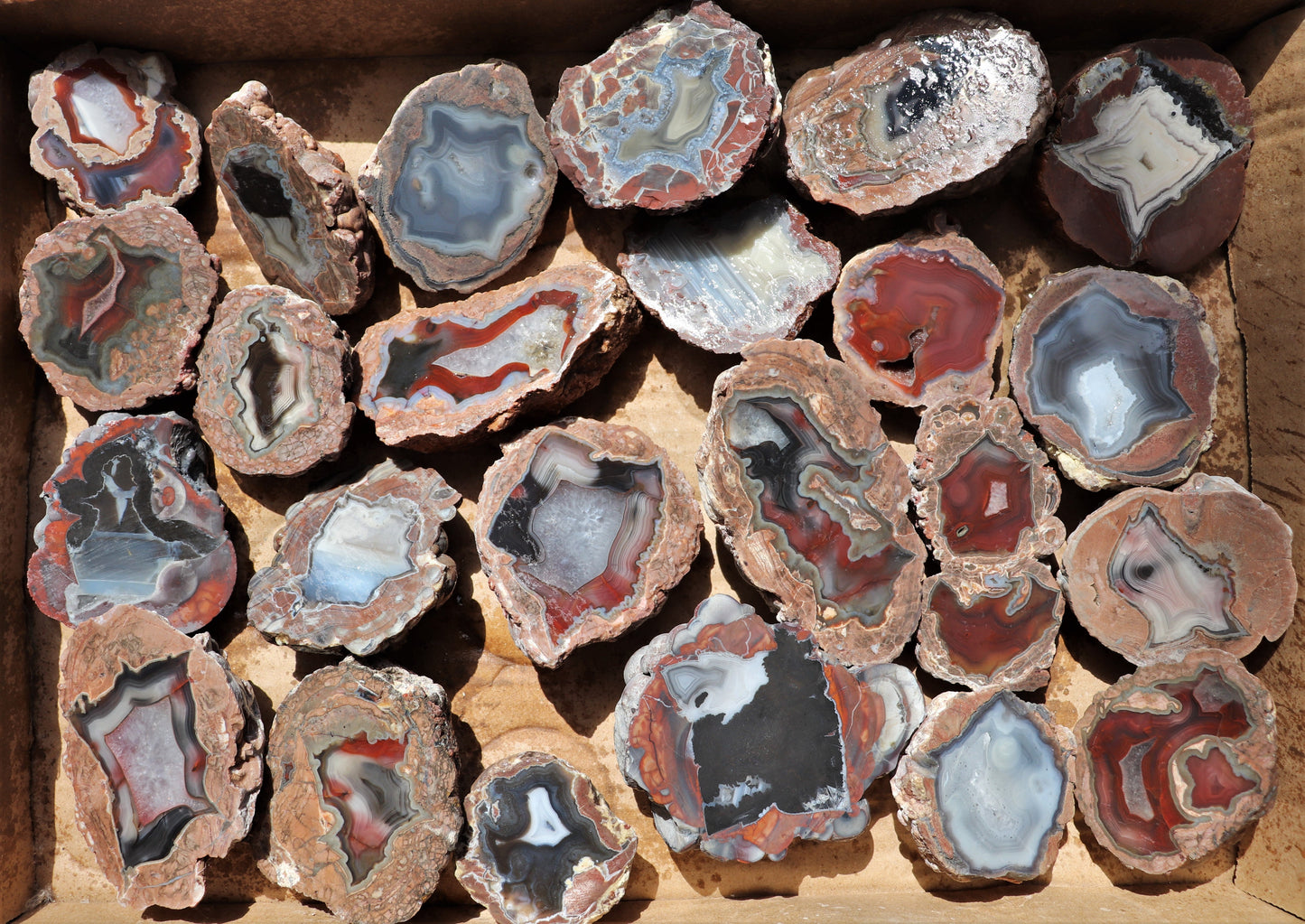 24 count flat of $20 Deming thunderegg halves