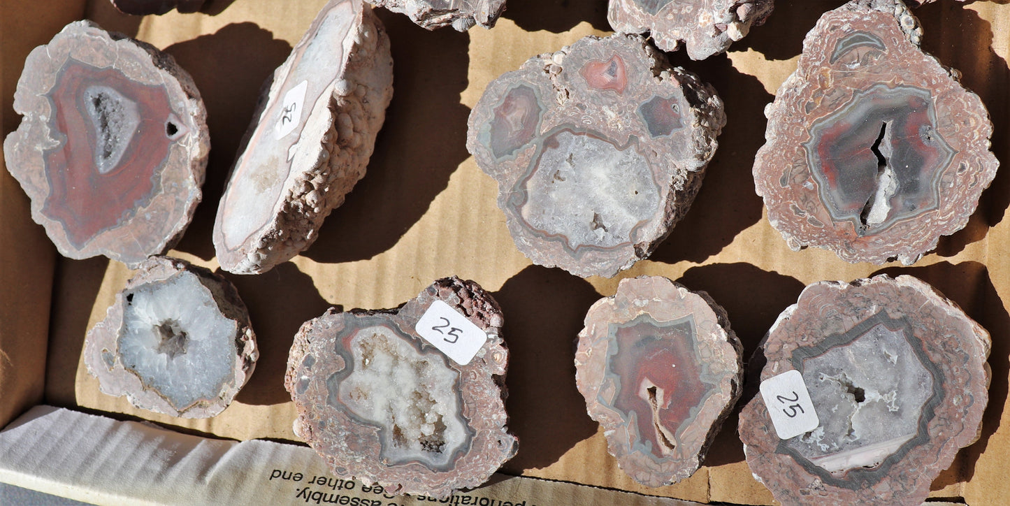 20 count flat of $25 Deming thunderegg halves