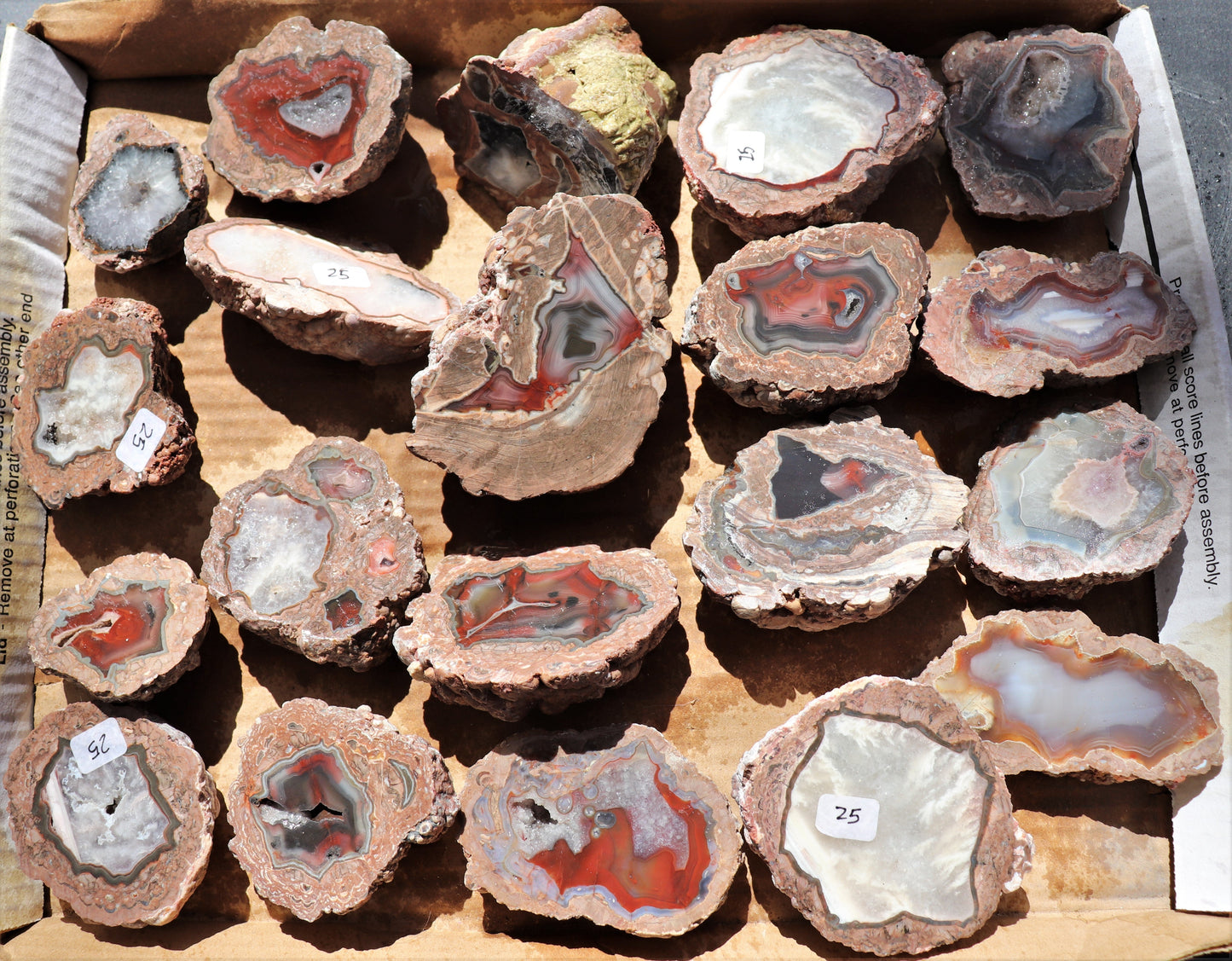 20 count flat of $25 Deming thunderegg halves