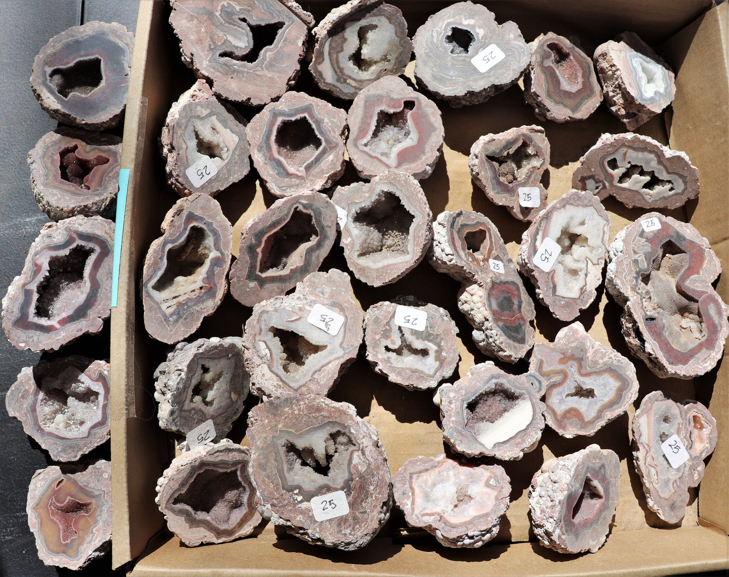 30 count flat of $25 Deming thunderegg halves