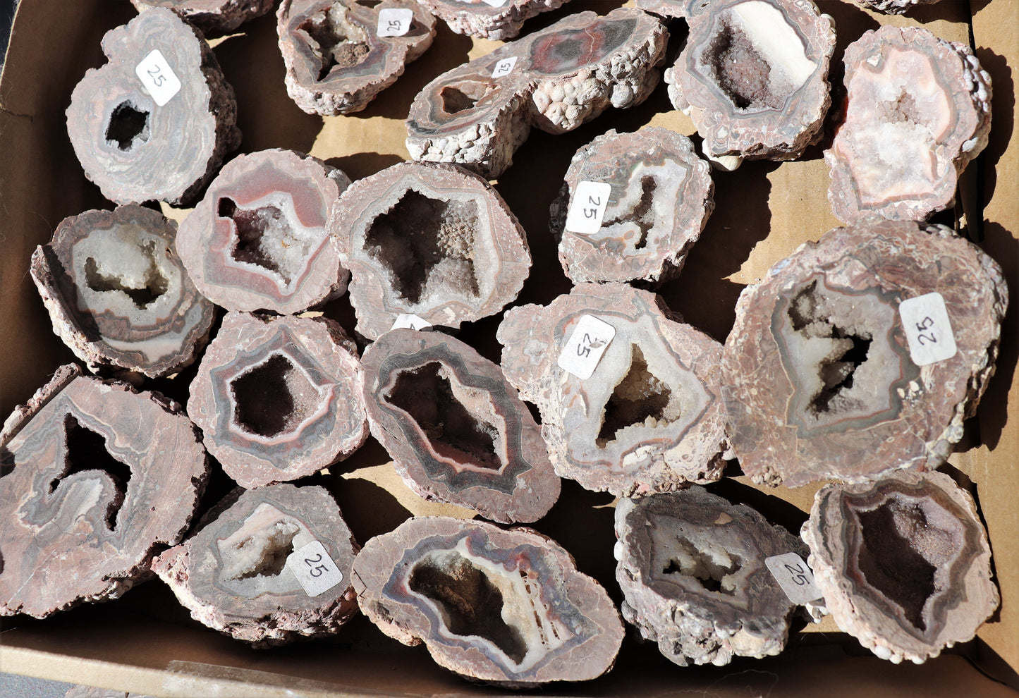 30 count flat of $25 Deming thunderegg halves