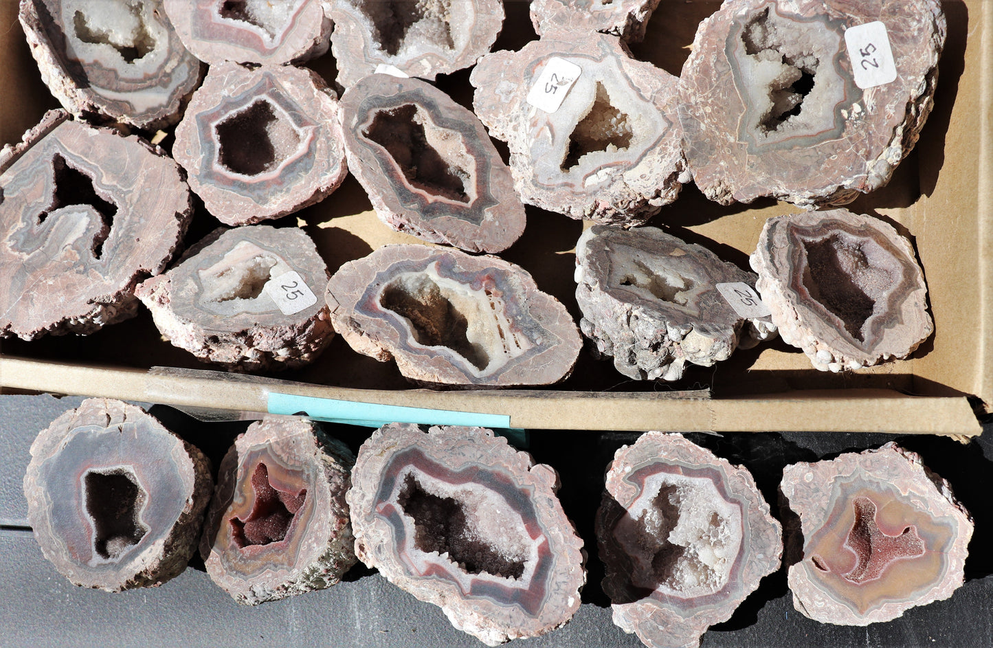 30 count flat of $25 Deming thunderegg halves
