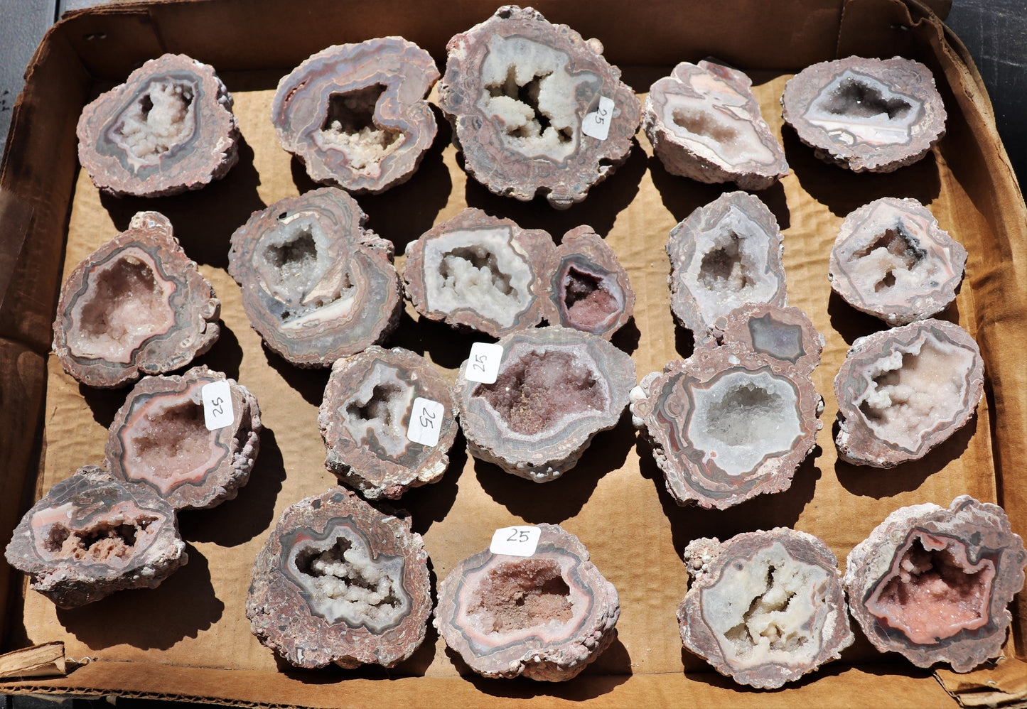 20 count flat of $25 Baker Ranch thunderegg halves