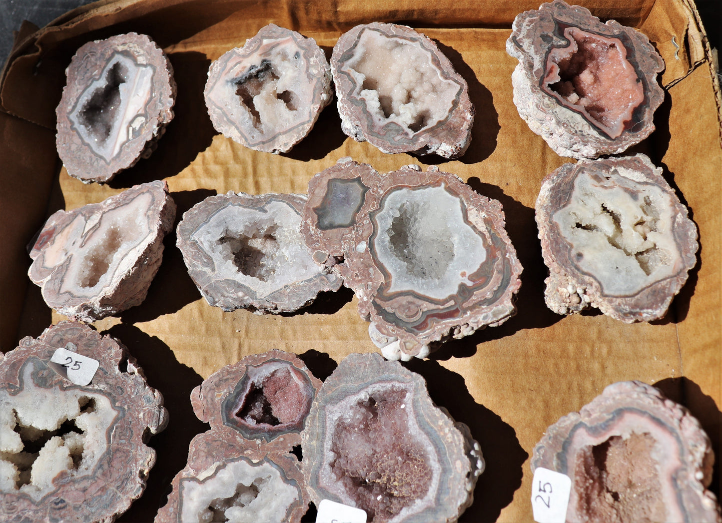 20 count flat of $25 Baker Ranch thunderegg halves