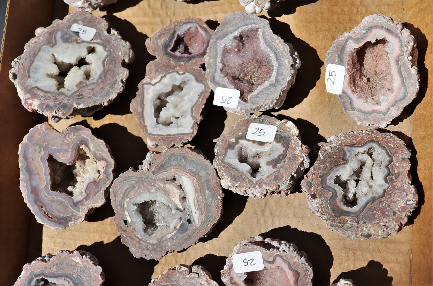 20 count flat of $25 Baker Ranch thunderegg halves