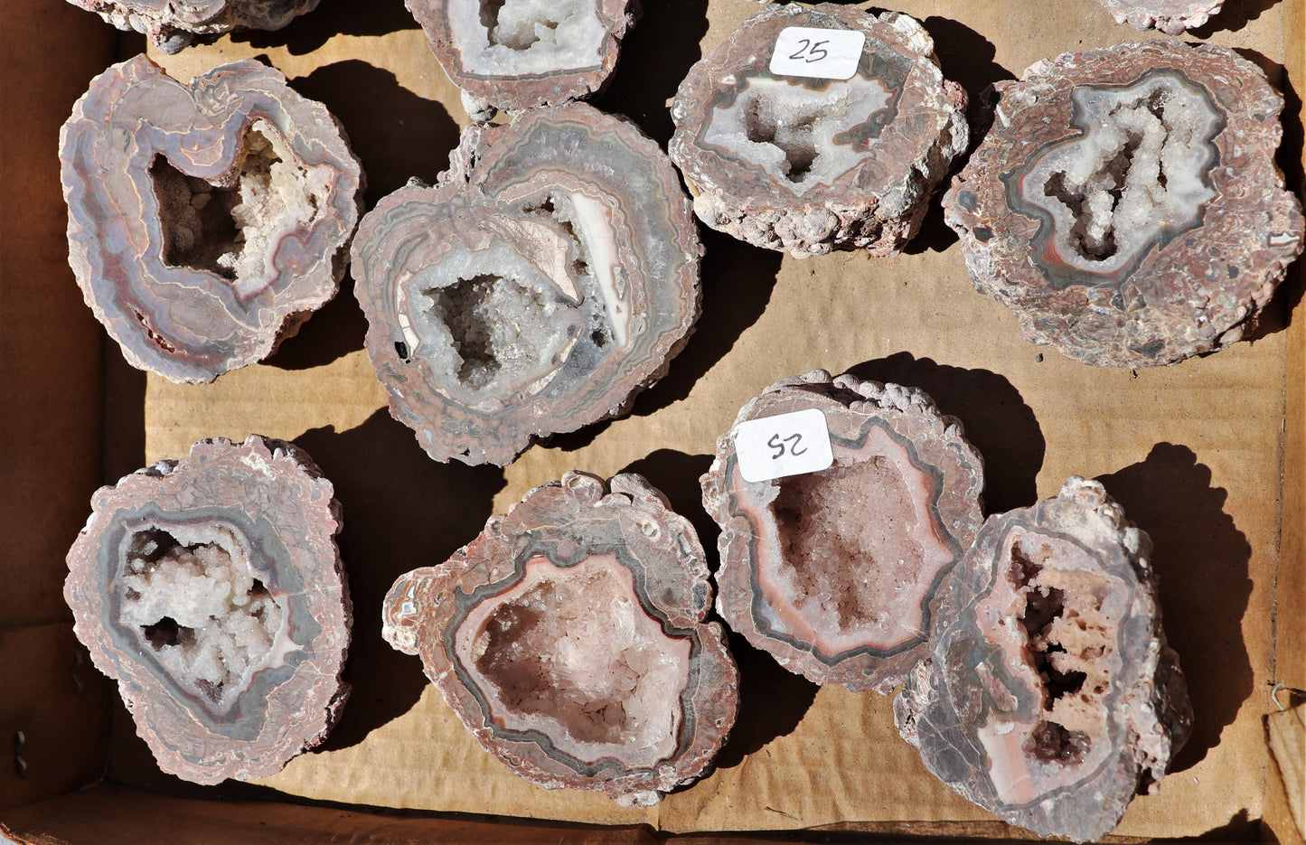 20 count flat of $25 Baker Ranch thunderegg halves