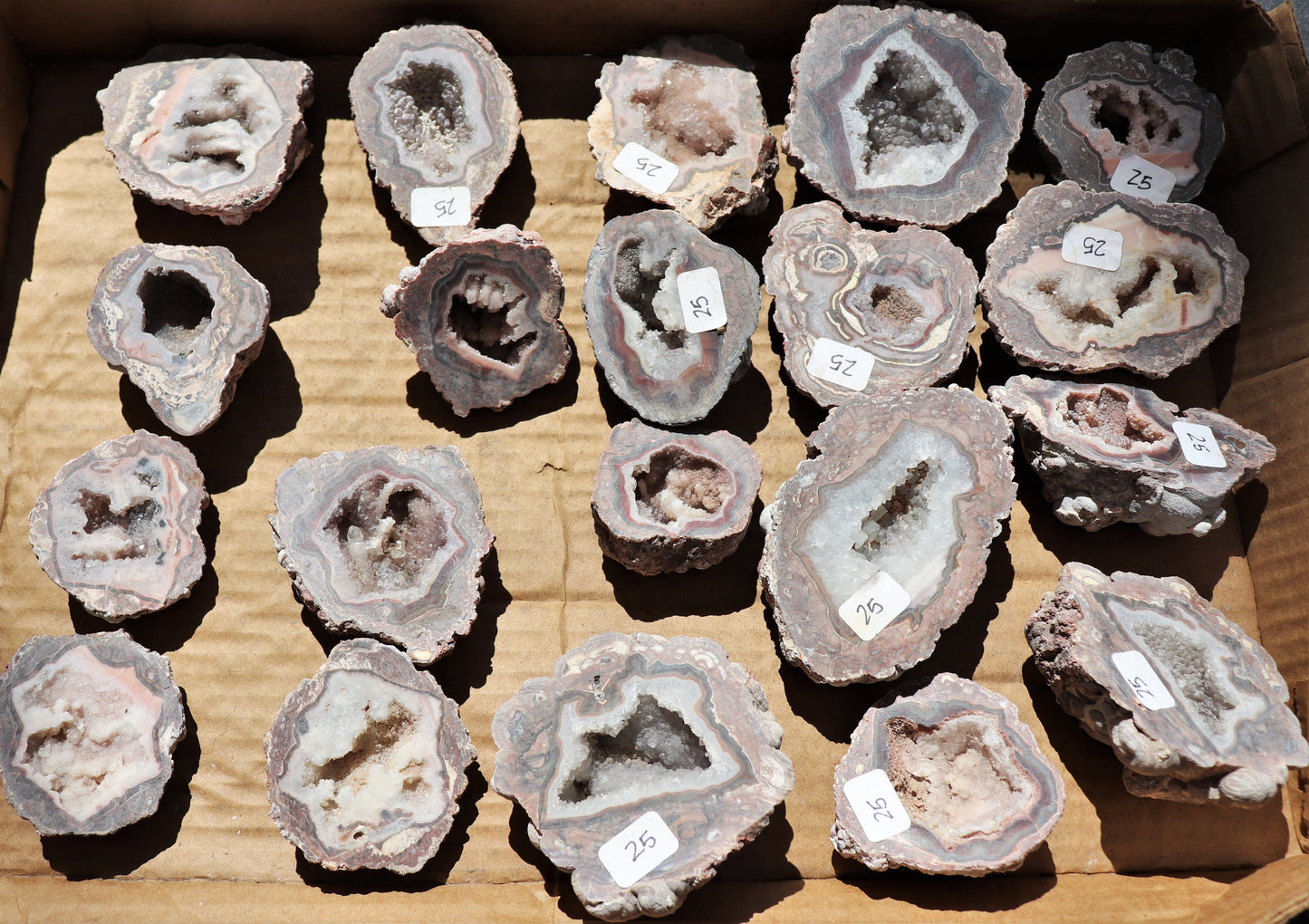 20 count flat of $25 Baker Ranch thunderegg halves