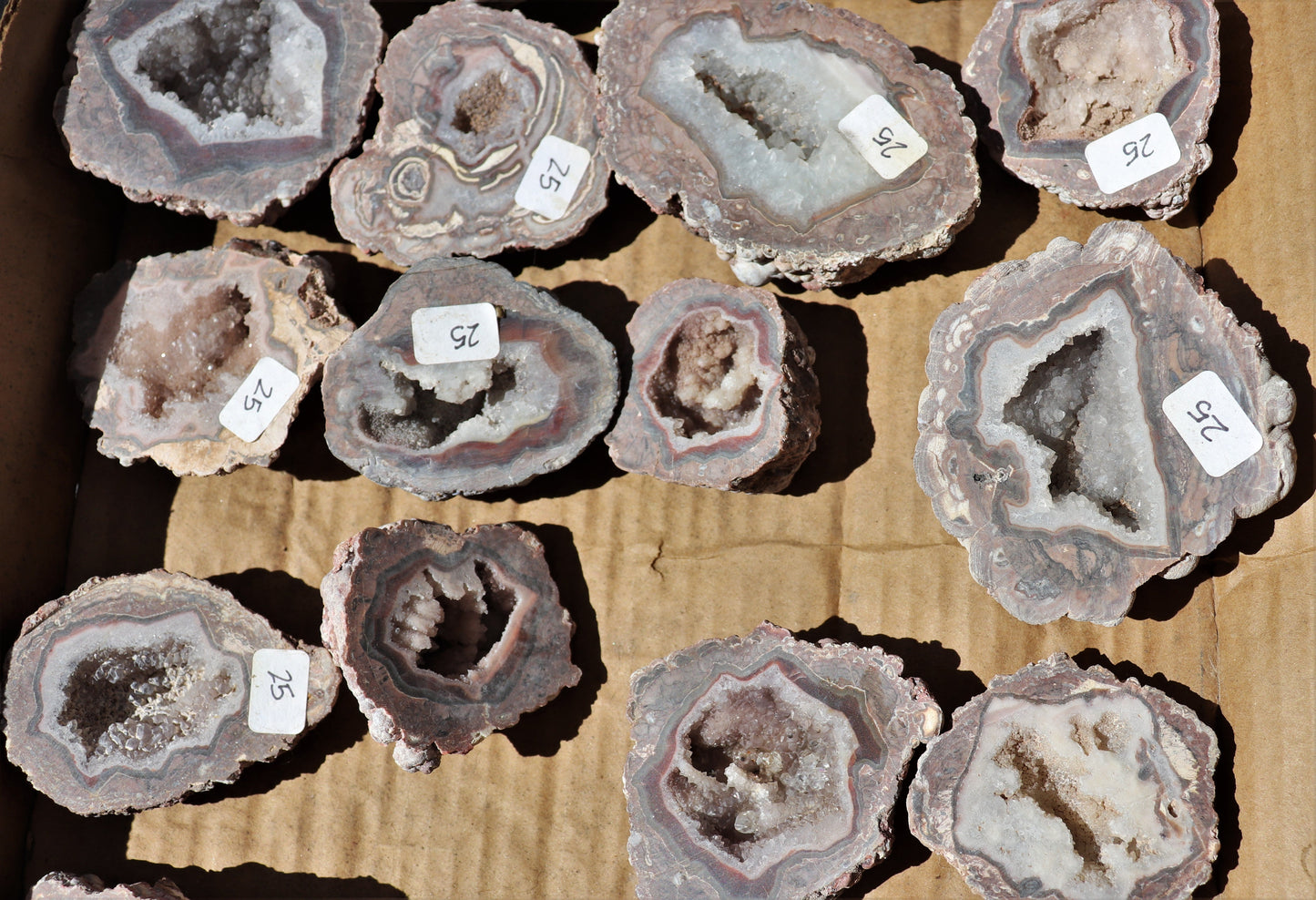 20 count flat of $25 Baker Ranch thunderegg halves