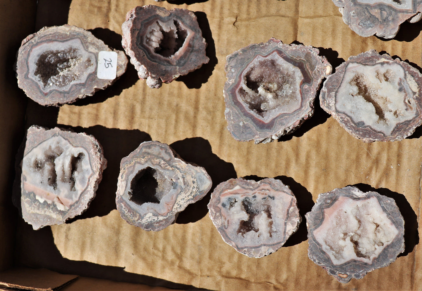 20 count flat of $25 Baker Ranch thunderegg halves
