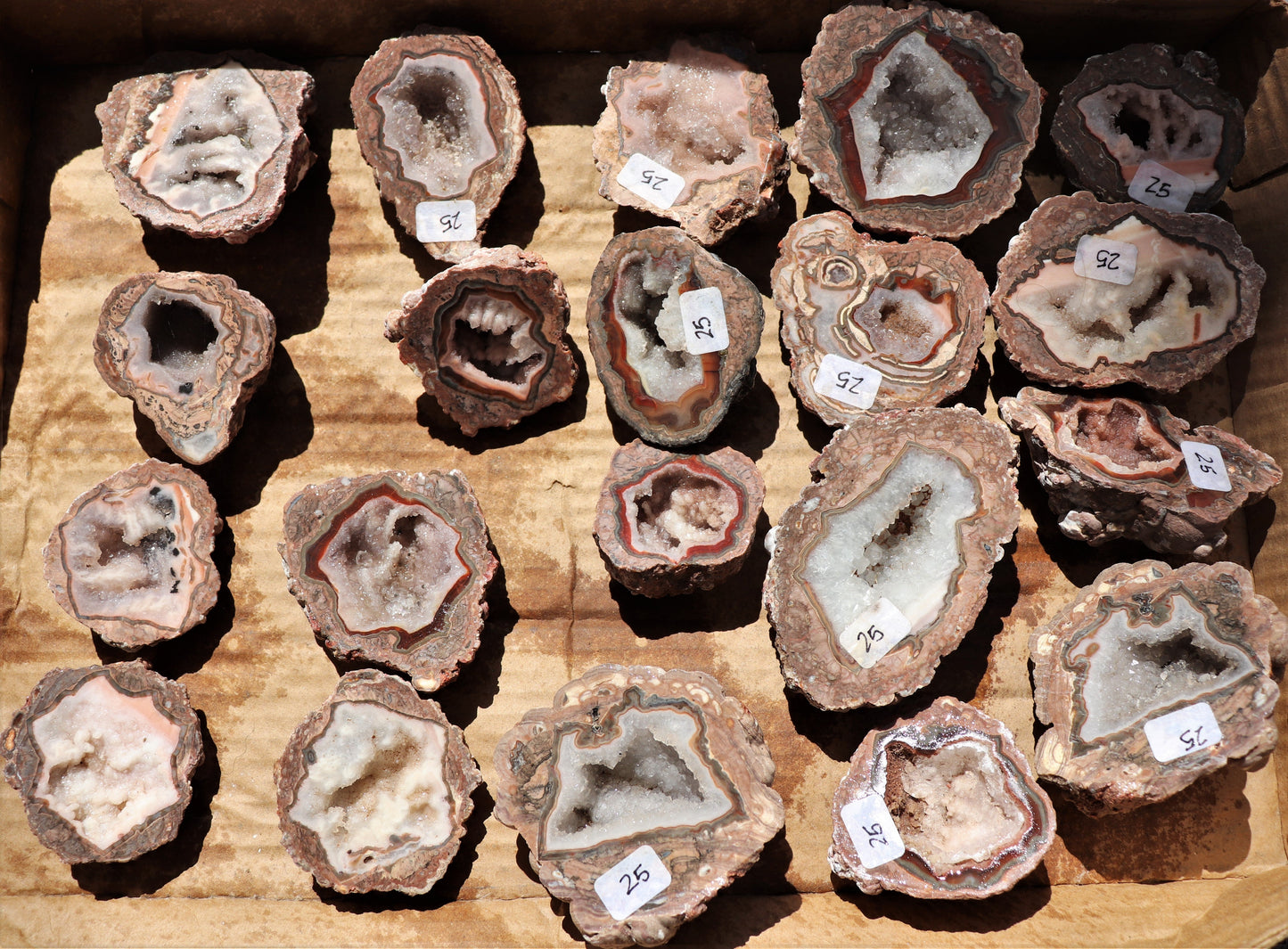 20 count flat of $25 Baker Ranch thunderegg halves