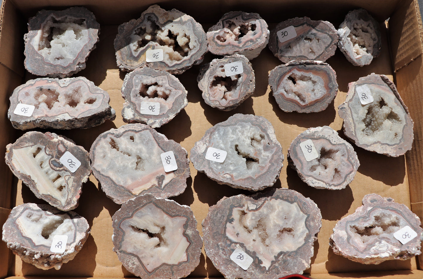 18 count flat of $30 Baker Ranch thunderegg halves