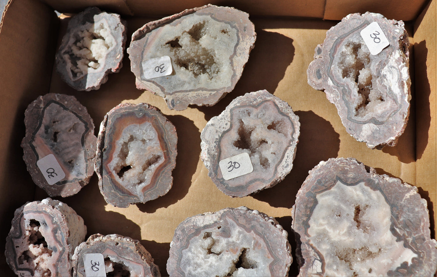 18 count flat of $30 Baker Ranch thunderegg halves