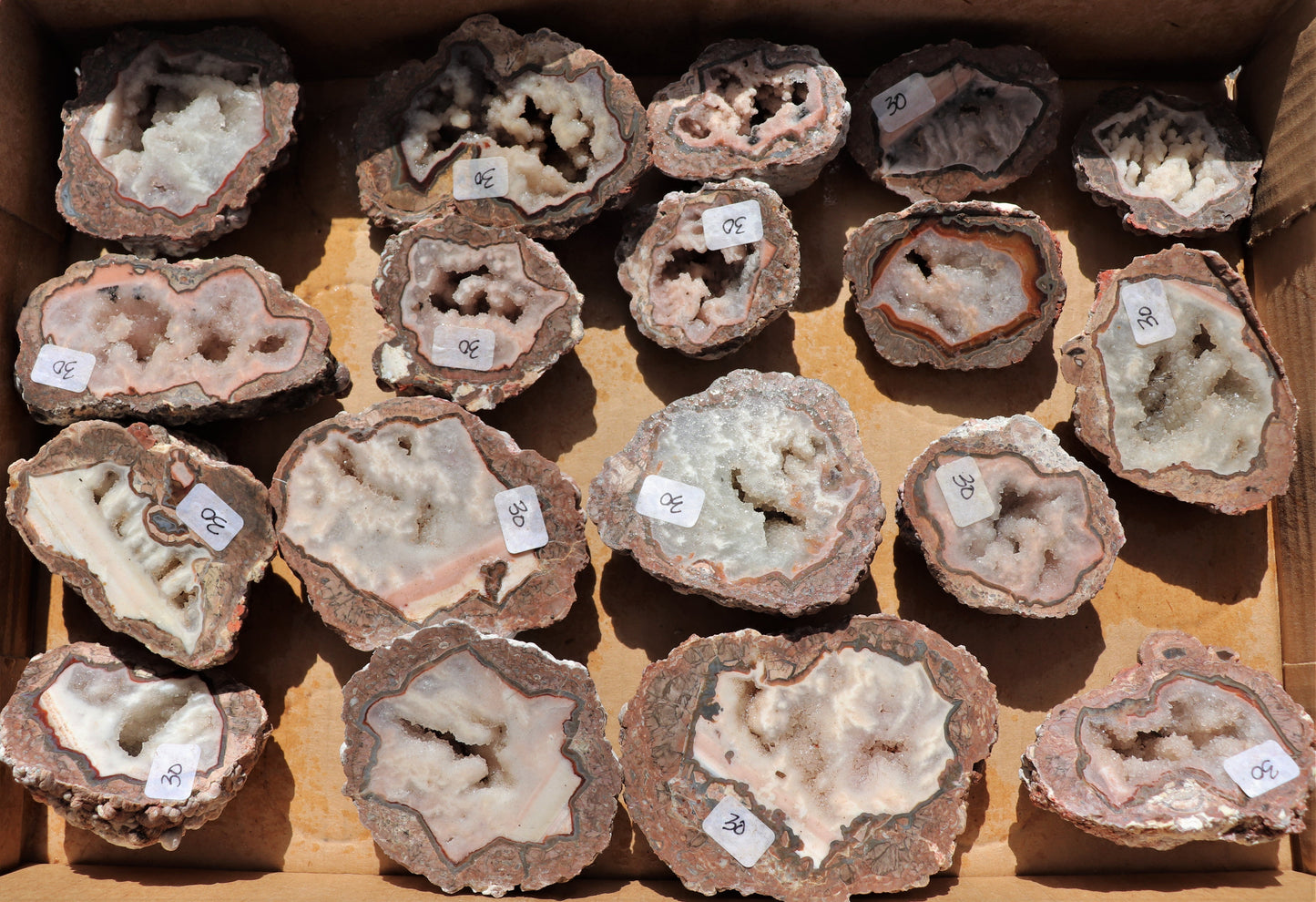 18 count flat of $30 Baker Ranch thunderegg halves