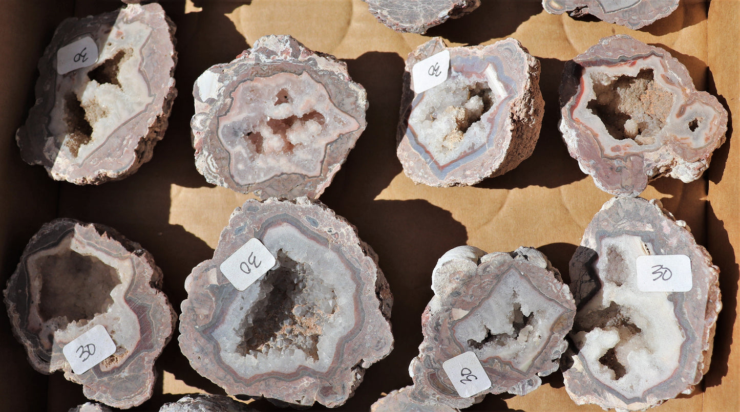 18 count flat of $30 Baker Ranch thunderegg halves