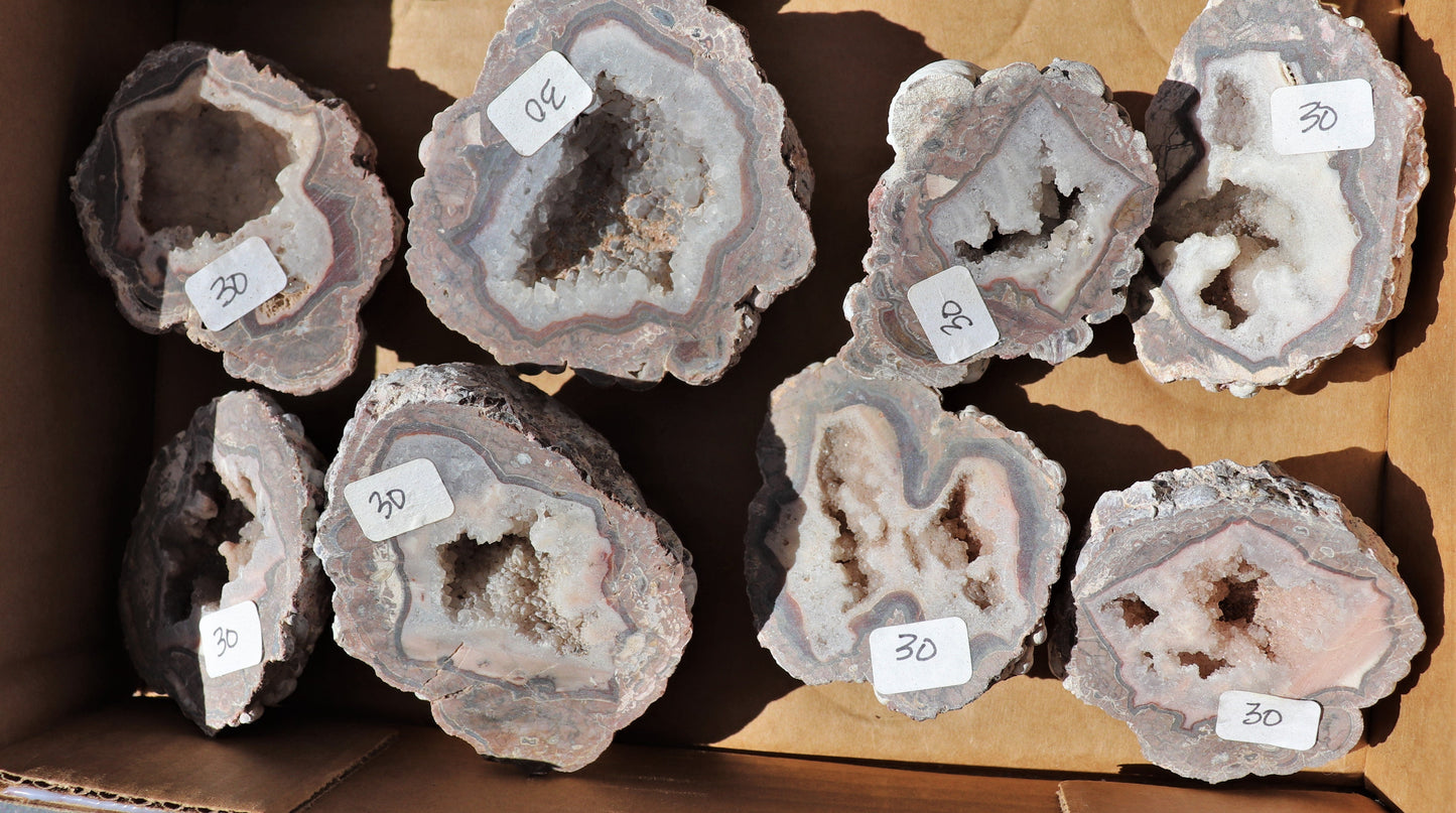 18 count flat of $30 Baker Ranch thunderegg halves
