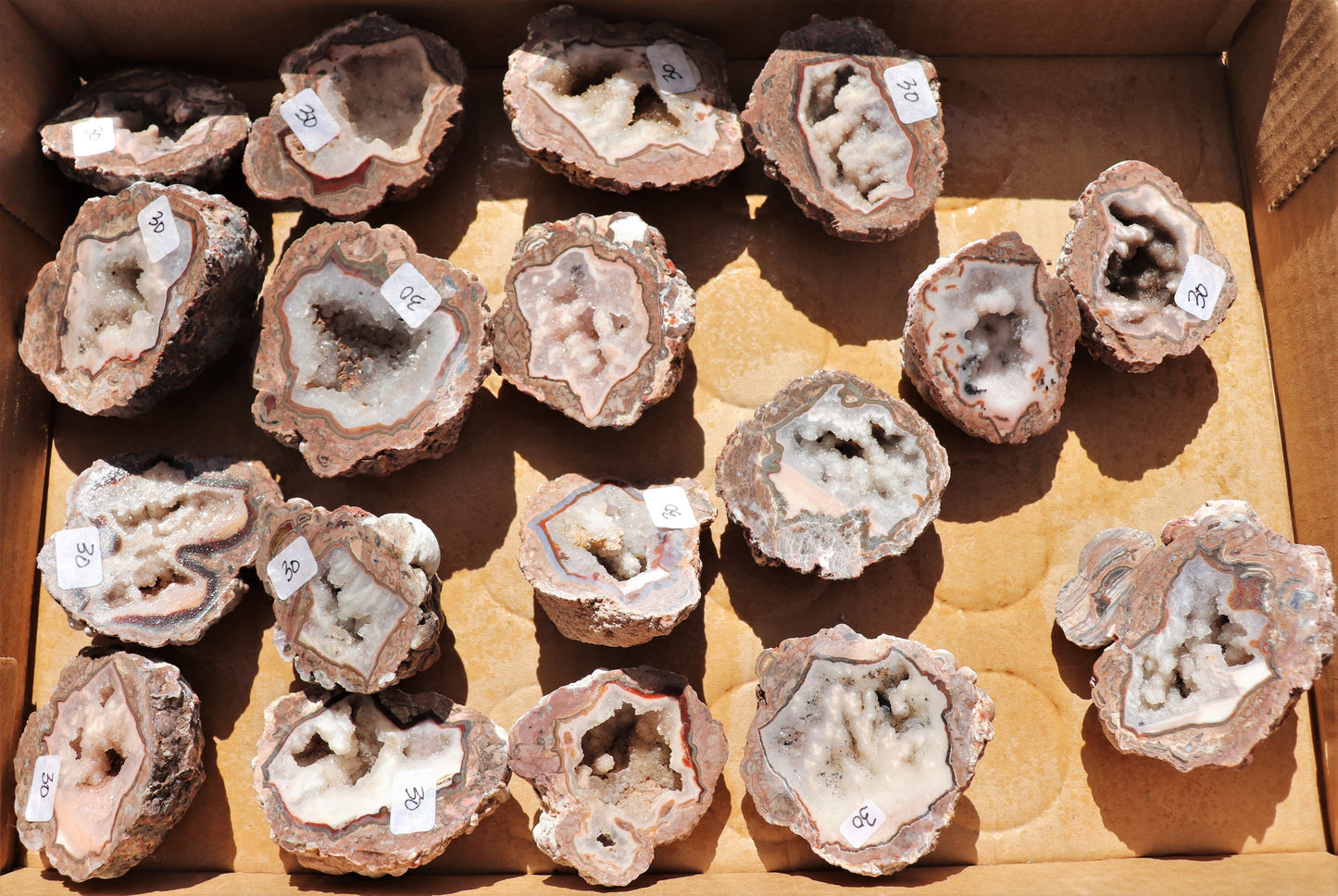 18 count flat of $30 Baker Ranch thunderegg halves